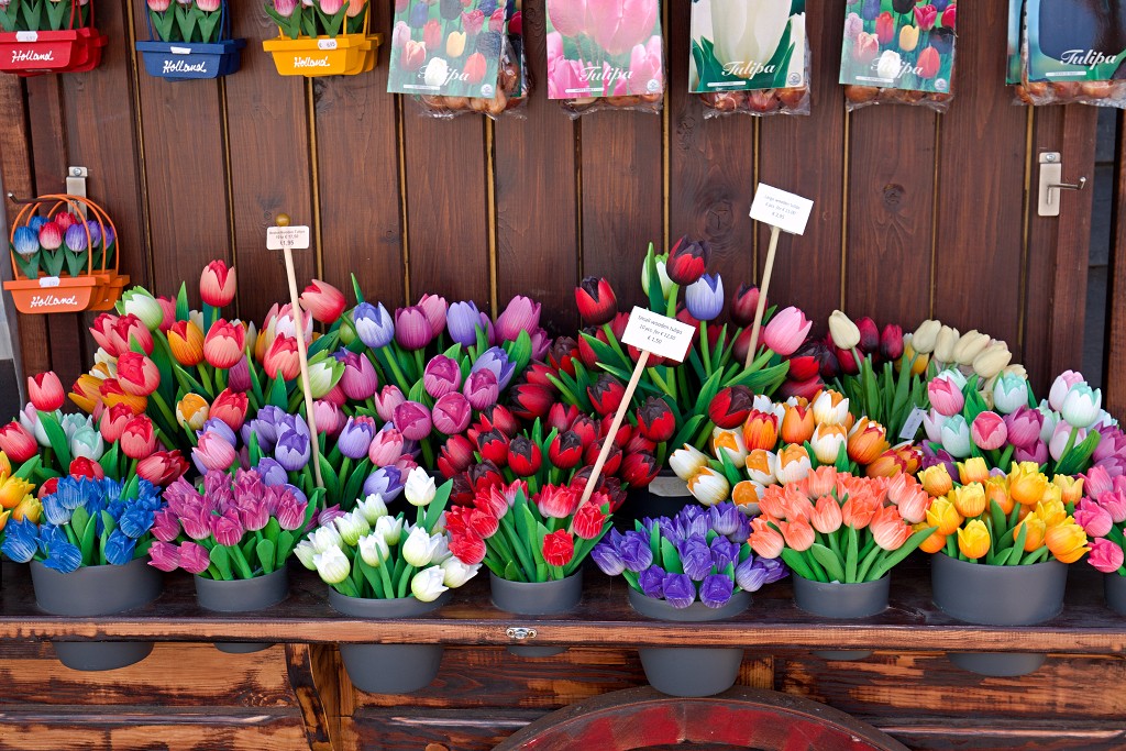 zaanse schans zaandam hdr zaanstad erfgoed unesco erfgoedlijst museum molens molen Albert Heijn attractie klompen polder